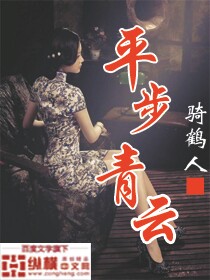平步青雲小说封面