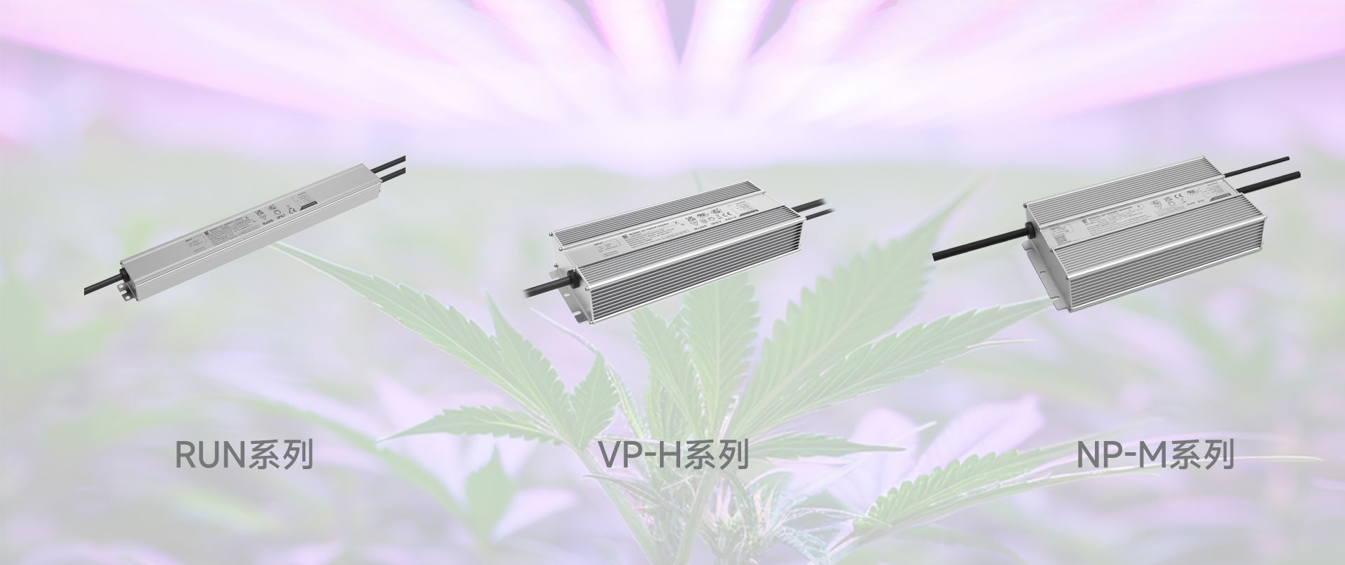 抖圈- (中国区)抖圈为赌而生